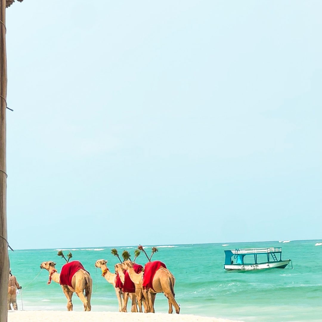 east africa travel